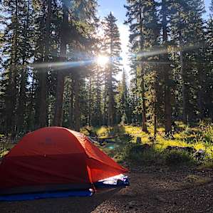 Morning at site 11