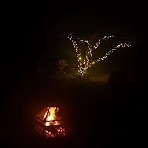The twinkly tree and fire at night