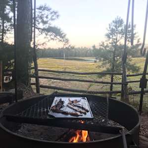 Old Covered Wagon Camp