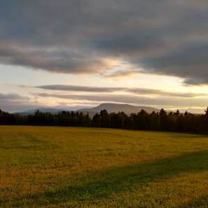 Sunset on the field