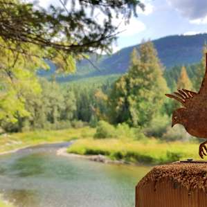 Iron Horse Forest River Cabin