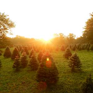 Shelters at Heritage Farms in CVNP