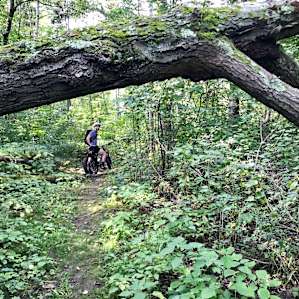 Great trails and they are constantly working to make them better!