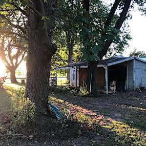Deaf Barefoot Melange Farm