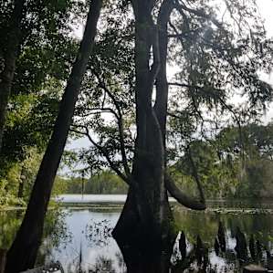 View of the river