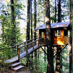 The Sanctuary Treehouse