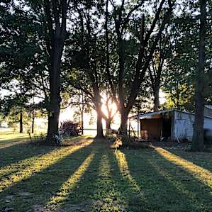 Deaf Barefoot Melange Farm