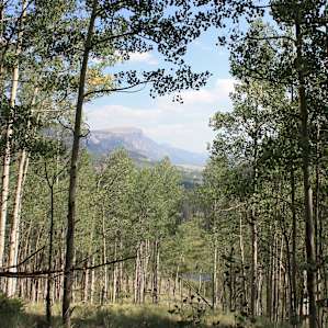 North Clear Creek Campground
