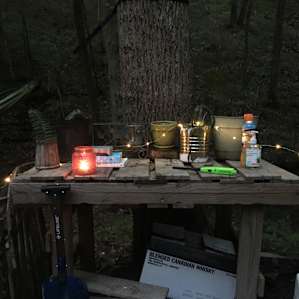 Fern Brook - Nashville