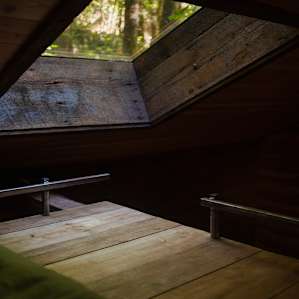 This skylight brought in the prettiest morning light