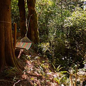 Hammock overlooking the stream