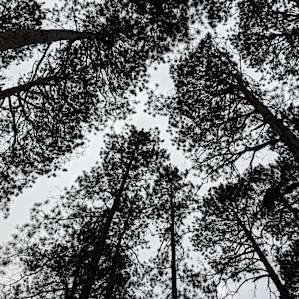 Bear Paw Campground