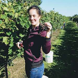 We were offered a chance to work on the farm for the morning. We had a blast picking grapes.