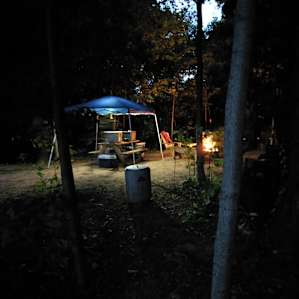 Relaxing night fire, listening to the music of crickets, frogs, and coyotes off in the distance. Perfection.