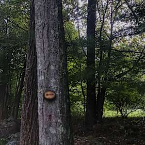 Ironwood Trail & Private Campsite