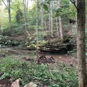 The creek right out your front door!