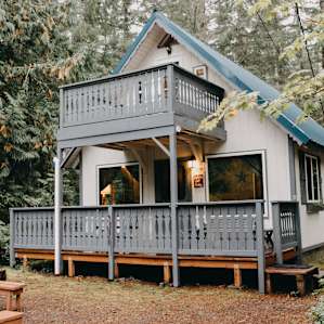 cabin forest lodging