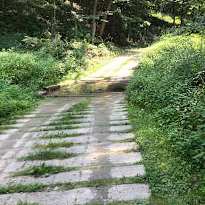 Road to the camp sites