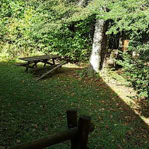 Picnic table next to the fire pit