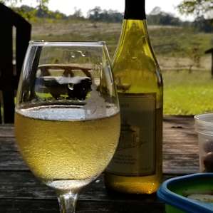 Nice wines from the tasting room