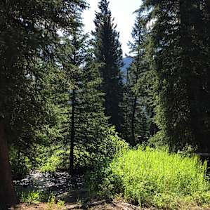 The view from site 9