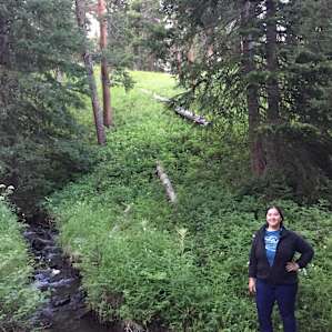 The creek right behind the campsite #9