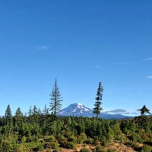 Romantic Luxury Wilderness Yurt
