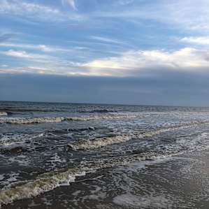 🌊❤️