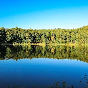 The other side of the pond after a day of hiking