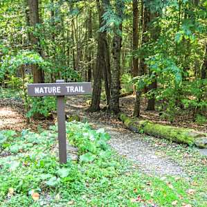 The entrance to a nature trail near the cabins