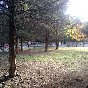 Blue Ridge Views and Space Galore!