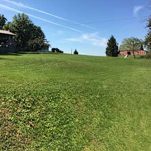 Rolling hills perfect for frisbee and yard games.
