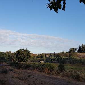 Orchard Nest