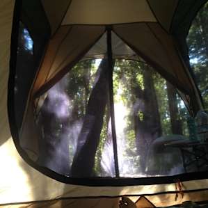 Sequoia Group Camps