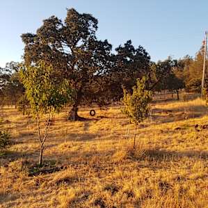 Golden Rocks Permaculture Farm #2