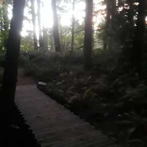 Farm, Forest, Happy People