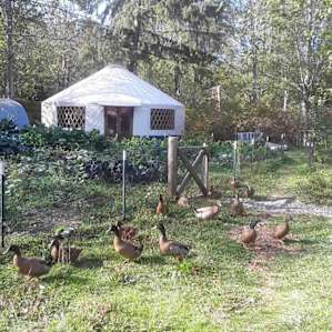 Farm, Forest, Happy People