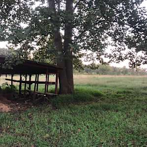 wandering through old structures