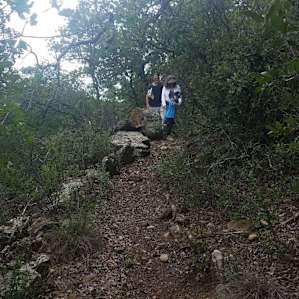 Hiking trails.