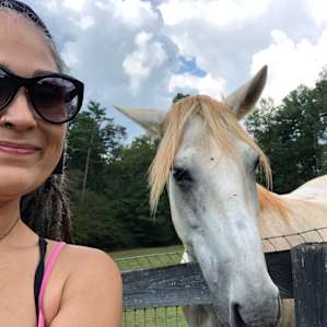Very friendly horses