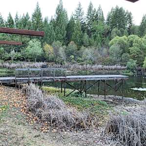 The Pond House