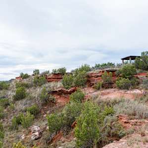 Big Pond Equestrian Campground