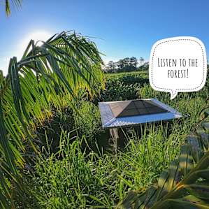 Deluxe Glamping Hammock Cabana