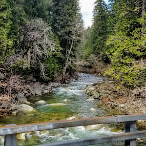 Golden Trout Campground