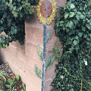 Urban Permaculture Gardens