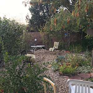 Urban Permaculture Gardens