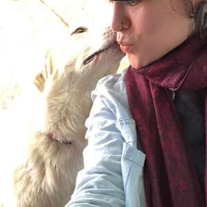 Friendly animals!