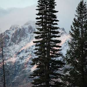 Stunning views of the Sawtooth Mountains!