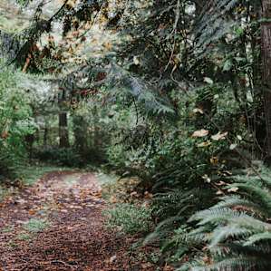 Tranquil Acres