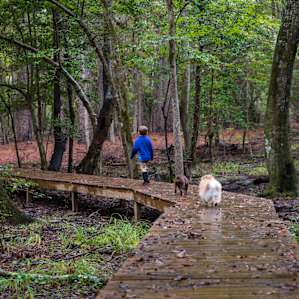 Great hiking for kids and dogs!